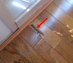 termite damage to timber floors 02